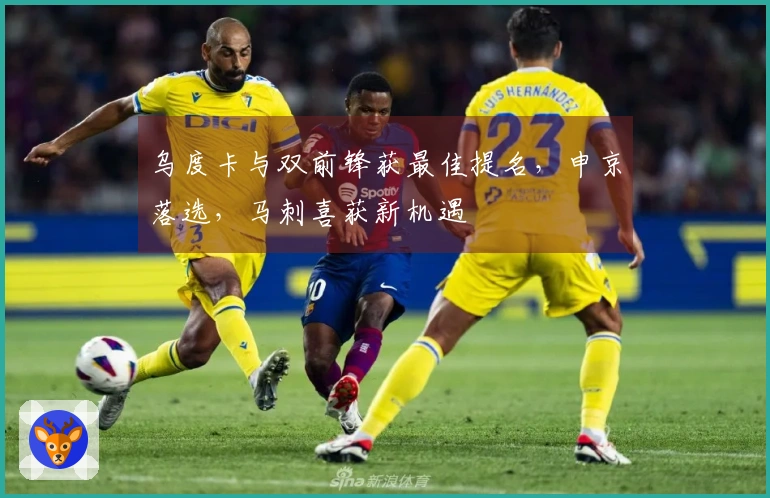 乌度卡与双前锋获最佳提名，申京落选，马刺喜获新机遇