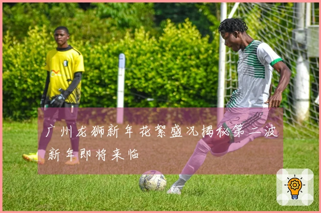 广州龙狮新年花絮盛况揭秘第二波 新年即将来临