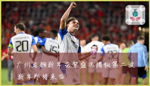 广州龙狮新年花絮盛况揭秘第二波 新年即将来临