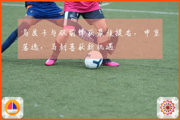 乌度卡与双前锋获最佳提名，申京落选，马刺喜获新机遇